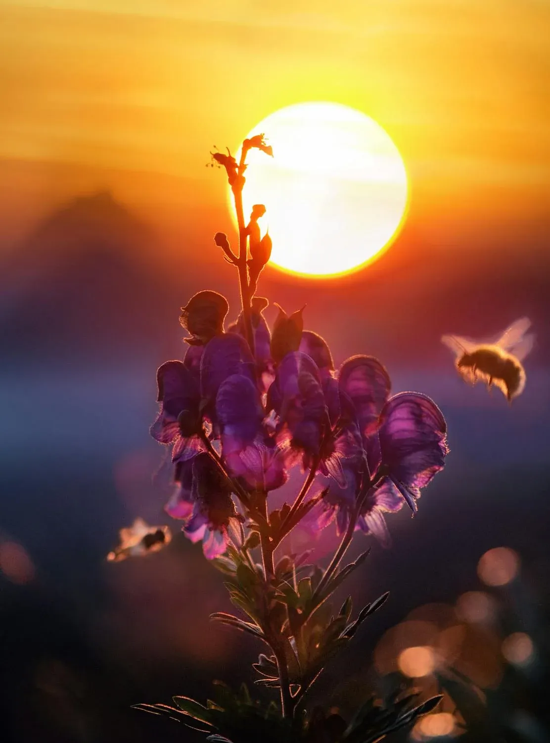 The good news of bees (and how we can help save them) shown at new exhibition