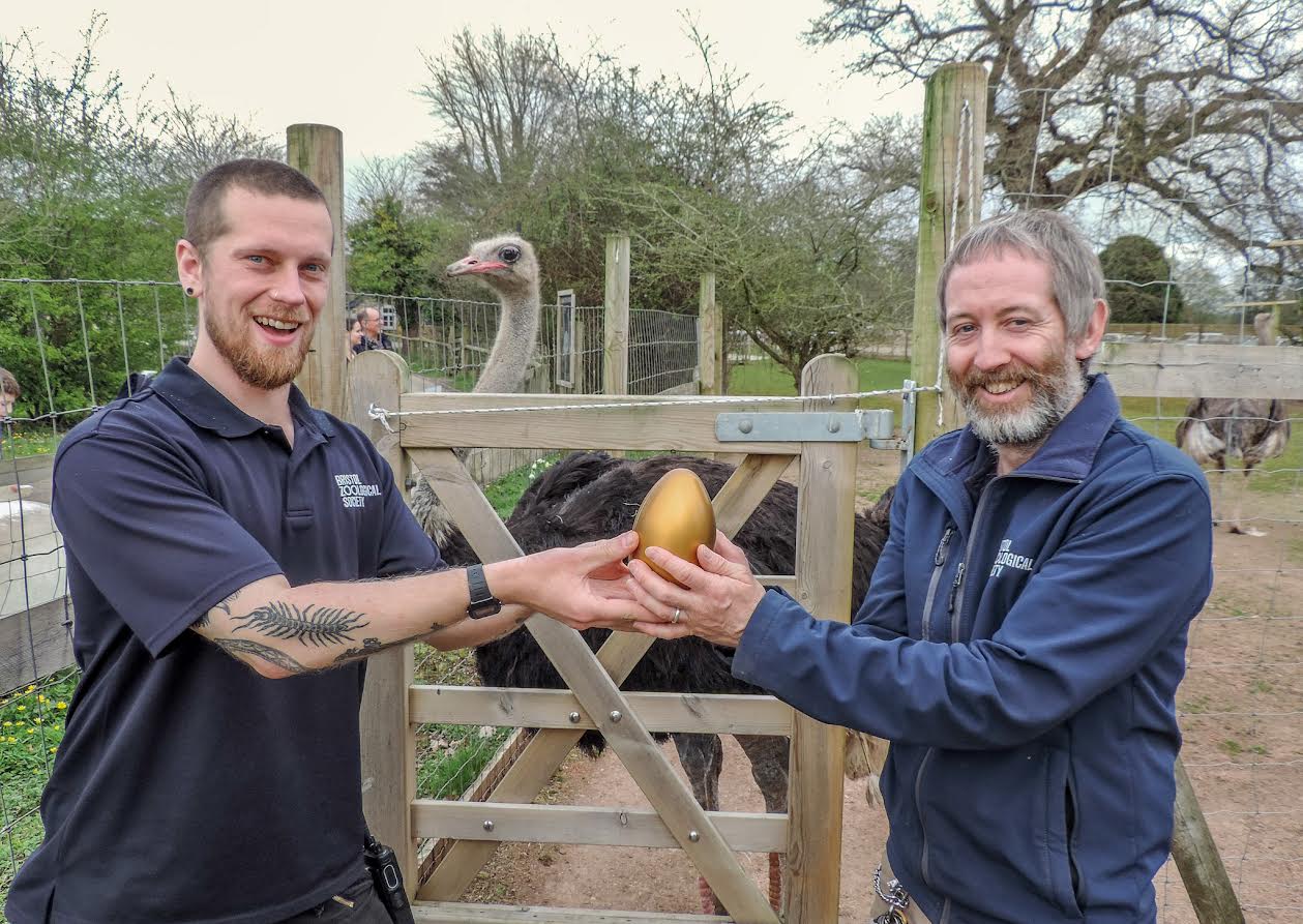Zoo Launches Ultimate Easter Egg Hunt Across the South West and Wales