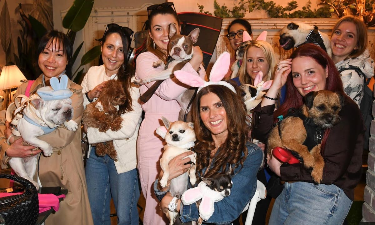 London’s Stylish Pups Strike a Pose for a Good Cause