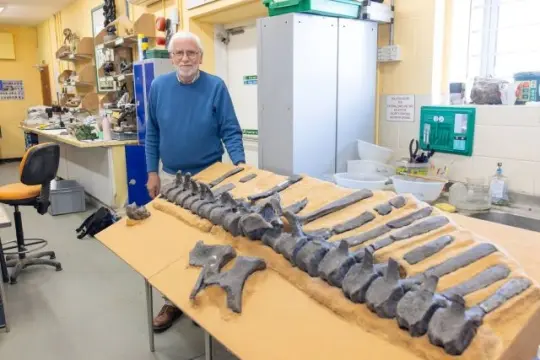 Retired GP Discovers Three New dinosaur species on the Isle of Wight and proves you’re never too old to do a PhD