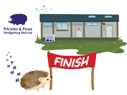 Hedgehog Hospital is 93% Funded and Aims to Open its Doors in February 2026