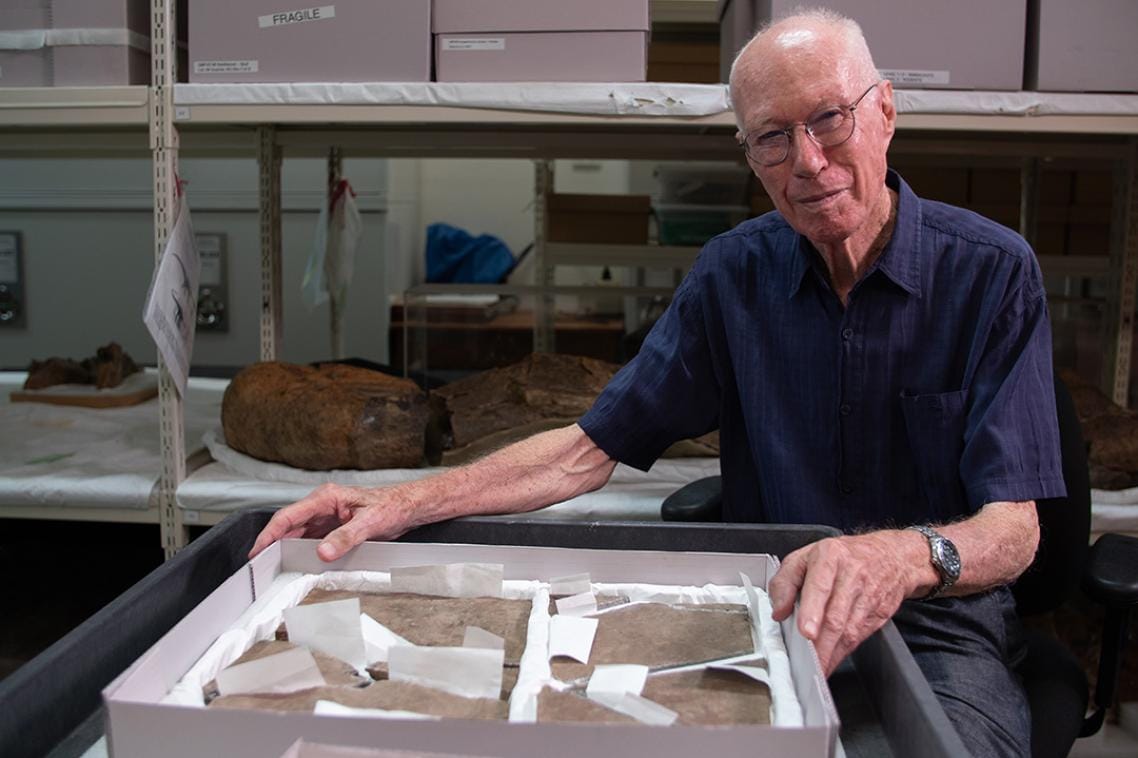 Brisbane Dinosaur Fossil is Australia’s Oldest