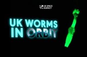 UK Scientists Send Microscopic Worms to Space in Health Study