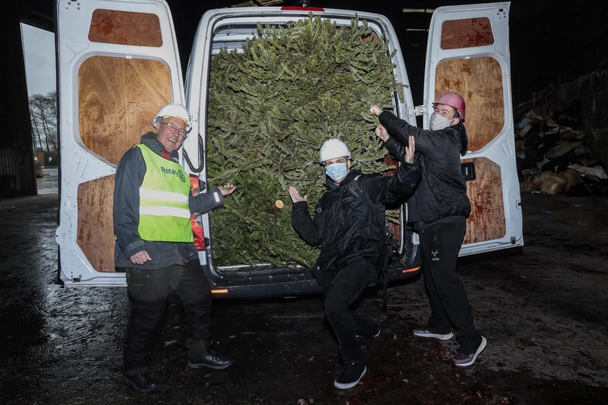 Good news for charity as brilliant Pines for Pounds project returns