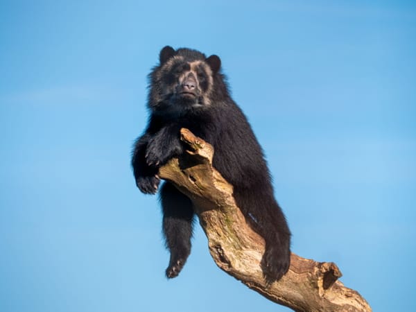 Zoo celebrates 25th anniversary with biggest offer for visitors to help families facing cost of living challenges