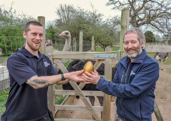 Zoo Launches Ultimate Easter Egg Hunt Across the South West and Wales