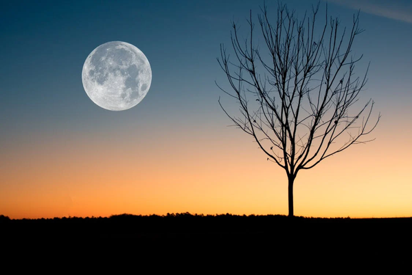 Solar Cells Made from Moon Dust Could Power Future Space Missions