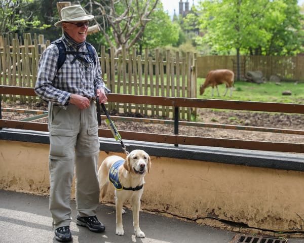 Guide Dogs Go for a Walk On The Wild Side at Edinburgh Zoo