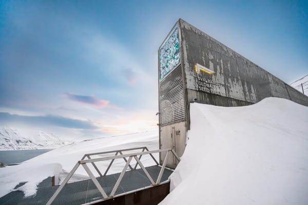 Warwick’s UK Vegetable Genebank Deposits Seeds in Secret Arctic Vault