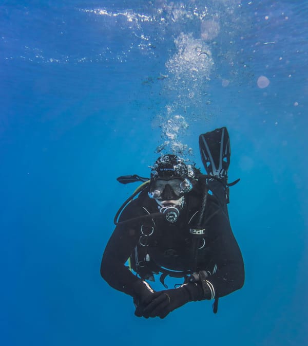 Scuba Diving Brings in Billions and Helps Protect the Ocean