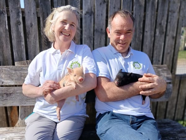 Micro Pig Breeders in Ireland and UK find a Brexit-Busting Plan - and now pigs can fly!