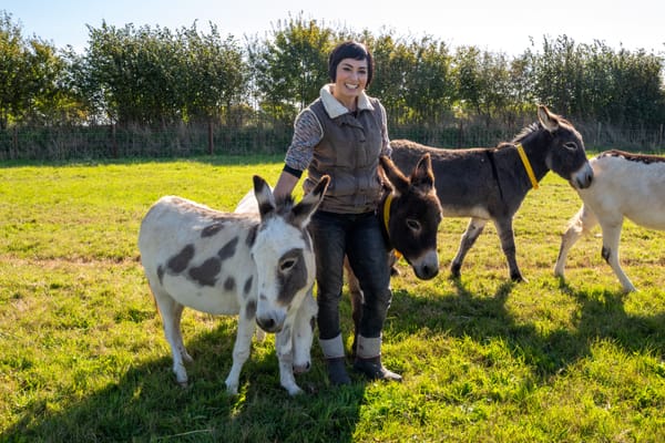 From Glitterball to Donkey Calls: Flavia Cacace Dances into Sanctuary Life