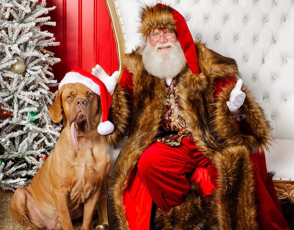 Meet Ozzy: The Big Dog With the Even Bigger Tongue!