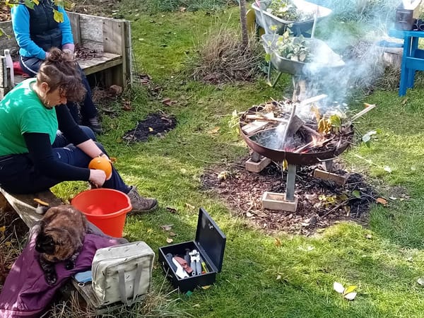 Cambridge Cyrenians’ Allotment Offers Lifeline and Community for People Facing Homelessness