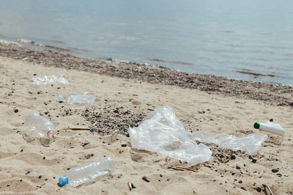 Ocean Bacteria Team Up to Break Down Biodegradable Plastic