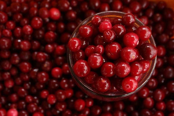 Miracle’ Fruit Could Help Improve Memory and Ward Off Dementia, new study says