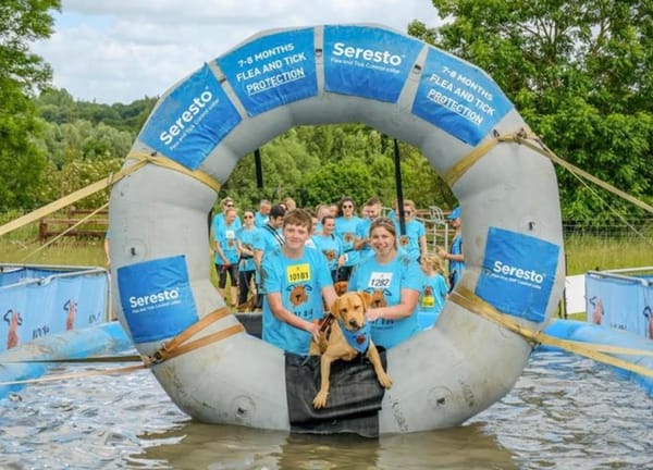 Tank the Lab Cross raises charity cash despite battling terminal illness