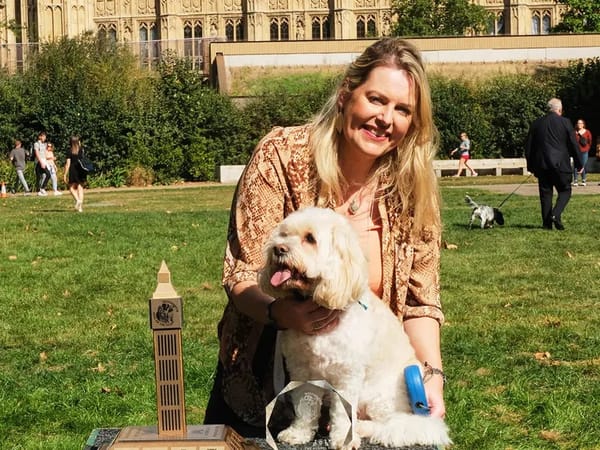 Cockapoo TJ is crowned Westminster Dog of the Year 2023