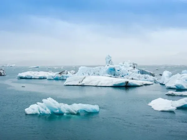 Good news as COP28 pushed forward on climate plans (By Sam, 13 and Jaiden, 12)