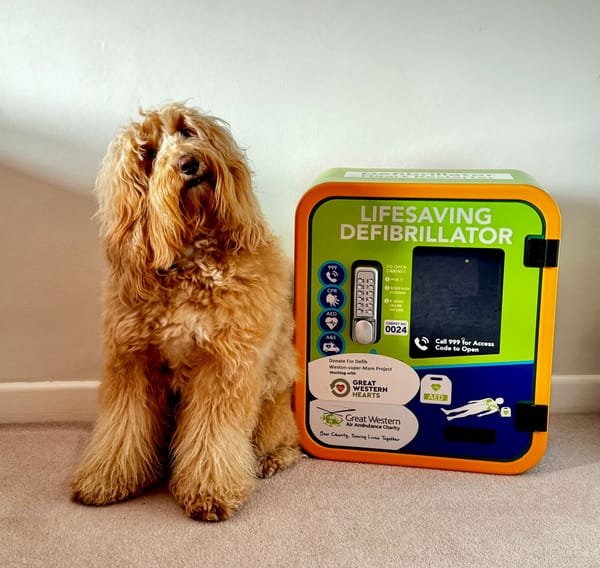 Meet marvellous mascot Maya the 3 year old life-saving sheepadoodle
